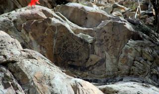 银川必去的五大景点