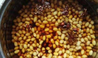 煮黄豆水喝能退烧吗_