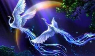 十二星座的坐骑神兽