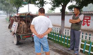 做什么生意本小利大 做什么生意本小利大