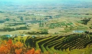 在希望的田野上原唱