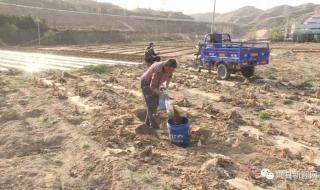 春回大地暖农业备耕忙 春回大地暖春耕备耕忙