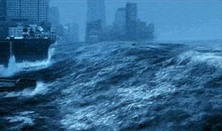 日本多地观测到海啸