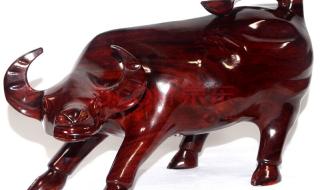 时尚达人是什么生肖 时尚达人是什么生肖