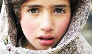 雅利安人和日耳曼人