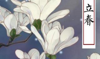 今年什么时候打春2020