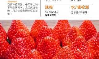 久久草免费线看线看2