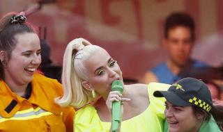 水果们的音乐会作文