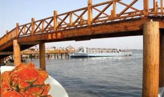 阳澄湖莲花岛农家乐 阳澄湖莲花岛农家乐