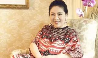 向太陈岚的个人资料