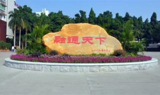 好点的大专分数是多少